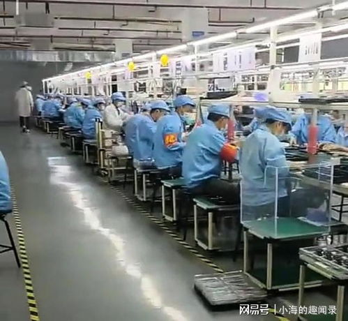 985名校畢業(yè)，三個月蟬聯(lián)二手包銷售冠軍 學霸的跨界逆襲